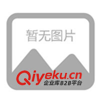 網頁設計服務 從B2B平臺到動漫主題的創新融合